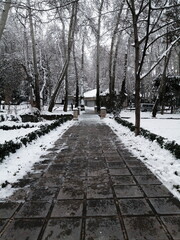 A snowy day in Saad Abad palace.