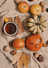Cups and autun accessories on wooden background.