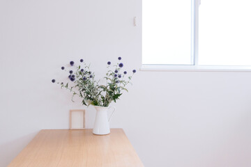 観葉植物と窓　フォトフレーム　背景　余白　コピースペース　白背景　シンプルナチュラル