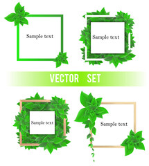 Set of frames with foliage. Dense foliage on the frames. Vector frames for design