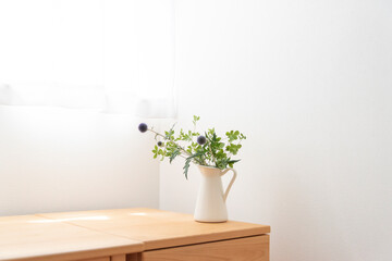 夏　窓　カーテン　花瓶　素材　背景　白背景　コピースペース　フレーム　写真　葉　部屋