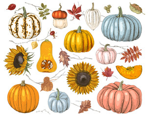 Hand drawn fall collection