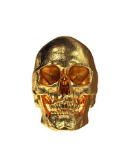 Gold Human Skull  Isolated on White Background