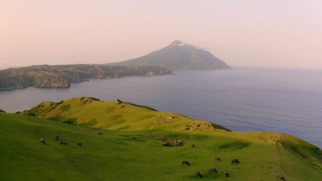Batanes Drone Landscape Marlboro Hills with Carabo Grazing and Mountain in Background