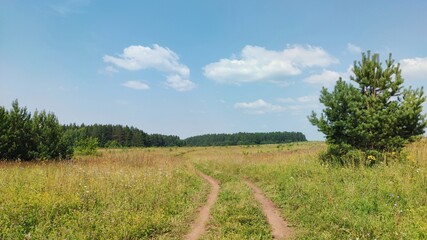 road to the forest through a green field against a blue sky with clouds