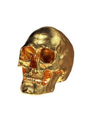 Gold Human Skull  Isolated on White Background