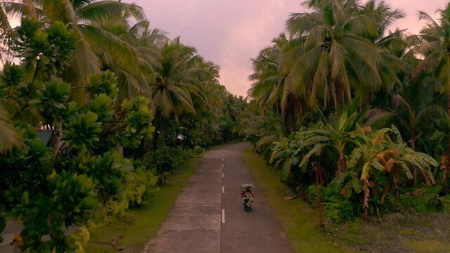 Southern Leyte Philippines Drone During Sunrise Motorcycle Road Trip with Hundreds of Coconut Trees