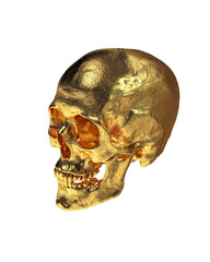 Gold Human Skull  Isolated on White Background