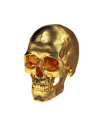 Gold Human Skull  Isolated on White Background