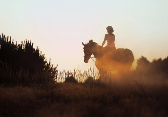 Back to the nature - horse rider