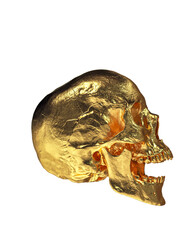 Gold Human Skull  Isolated on White Background