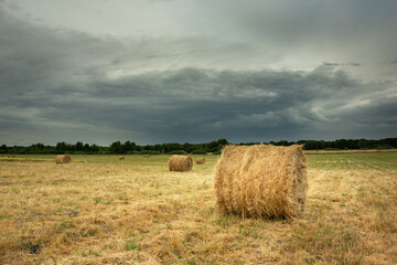 Fototapeta na wymiar Hay bales in a field and cloudy sky