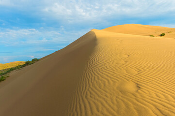 Fototapeta na wymiar Singing Dunes, Altyn-Emel National Park, Almaty region, Kazakhstan, Central Asia, Asia