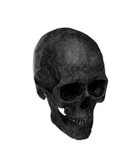 Black Human Skull Isolated on white background