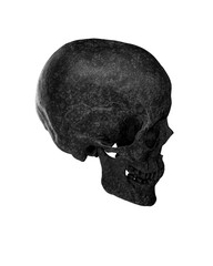 Black Human Skull Isolated on white background