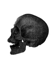 Black Human Skull Isolated on white background