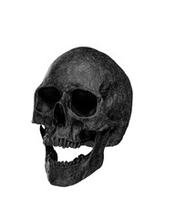 Black Human Skull Isolated on white background