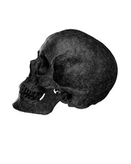 Black Human Skull Isolated on white background