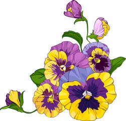 flower arrangement of pansies isolated on a white background. Vector illustration