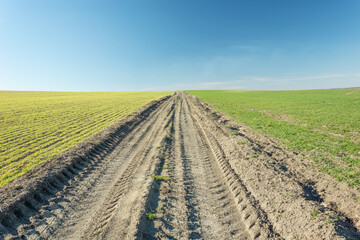 Fototapeta na wymiar Agricultural tractor wheel marks on dirt road, fields, horizon and blue sky
