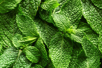 Fresh green mint as background © Pixel-Shot
