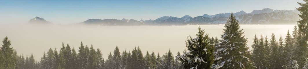 Amazing winter panoramic view to snowy Mountain Range above inversion fog clouds with forest trees....