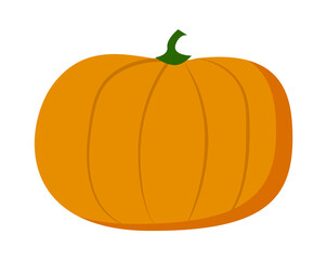 Orange pumpkin isolated at white background. Farm vegetable, web icon, natural food. Halloween vegetable. Agriculture concept, fresh crop. Vector illustration of organic vegetable, vegeterian