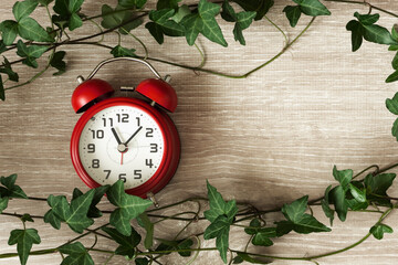 plant and clock. Nature and time.  Chic version. ...