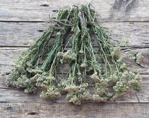 The season for harvesting medicinal herbs.Bunches of medicinal herbs are laid out and dried naturally on a wooden background.
