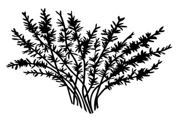 Black silhouette of bush. Leaves at bush branches. Simple raster icon. Nature concept. Black plant isolated at white background. Decorative element. Shadow of plant. Vector black illustration