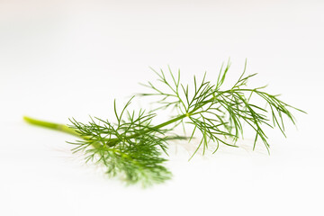 A branch of dill on a white tabletop