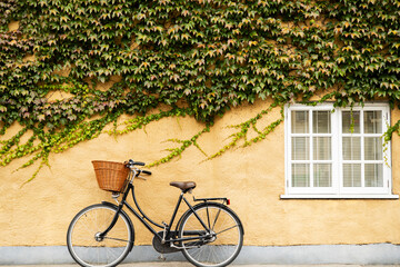 Fototapeta na wymiar Old Fashioned Bicycle With Basket Against Ivy Covered Building In Oxford
