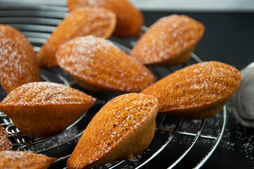 Vanilla madeleines. Seashell sweet cakes