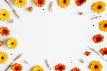 Autumn composition. Gerbera flowers, spica ears on white background. Autumn, fall concept. Flat lay, top view