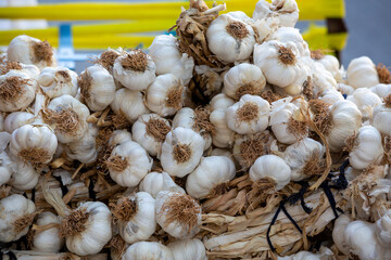 Close up garlic background. Selective focus