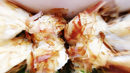 Rolls with fish and smoked tuna shavings