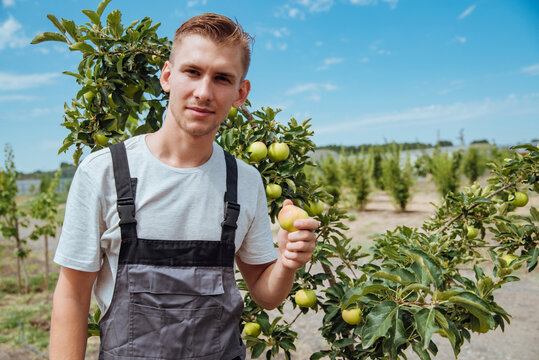 A farmer holding an apple