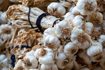 Close up garlic background. Selective focus