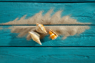 Seashells on a sea sand table in a summer mood