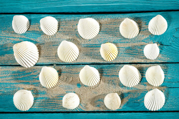 Fototapeta na wymiar Seashells on a sea sand table in a summer mood
