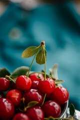 Ripe cherries in a mug. Good Morning Concept Cottagecore Aesthetics. Rustic, vintage style. Selective focus. Macro Harvest season concept