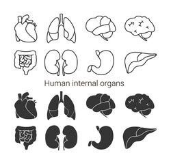 Human internal organs icon set. Vector illustration isolated on white background