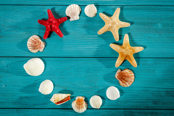 Seashells on a sea sand table in a summer mood