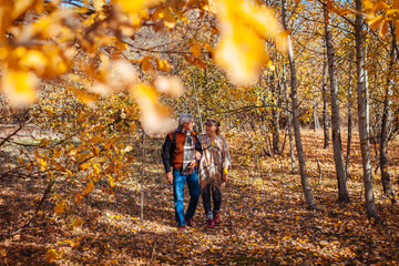 Fall season walk. Senior family couple walking in autumn park. Man and woman relaxing outdoors