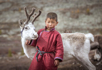 tsaatan boy with a reindeer in a landscape of northern Mongolia