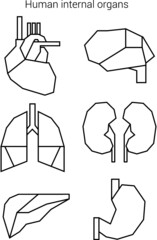 Human internal organs icon set. Vector illustration isolated on white background