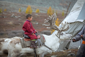 tsaatan boy riding a reindeer in northern Mongolia