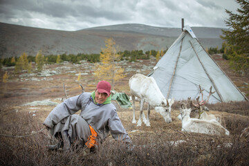tsaatan man with his reindeer in nature of Mongolia