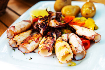 Obraz na płótnie Canvas Delicious grilled whole squid with tomatoes, cucumbers slices, beetroots pieces and green dandelions served in white plate for an healthy mediterranean meal