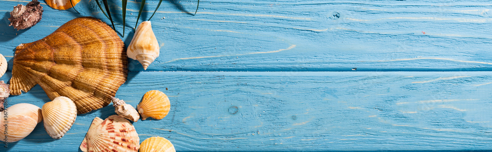 Wall mural top view of seashells and palm leaf on wooden blue background, panoramic shot